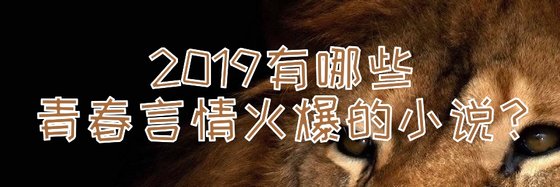 2019有哪些青春言情火爆的小說？
